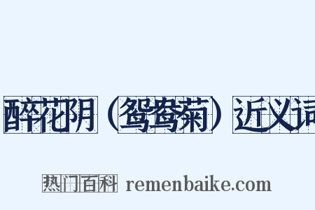 醉花阴（鸳鸯菊）近义词是什么意思的图片